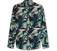Langarmhemd OLYMP "OLYMP Casual, regular fit, Kent", Herren, Gr. L, Normaler Arm, oliv, 100% Baumwolle, Hemden (54493963-L) oliv
