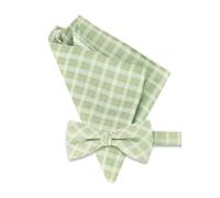 OLYMP Set Schleife + Einstecktuch Herren grün, One Size