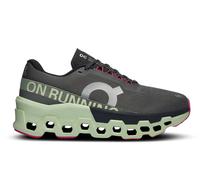 ON Cloudmonster 2 (Damen) Laufschuhe 40 grau