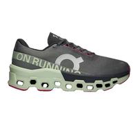 On Cloudmonster 2 Damen Laufschuhe, grau, Gr. 42 ½