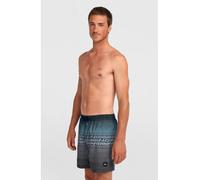 O'Neill O'neill Logo Stripe 16'' Swimshorts black out heritage o'neill stripe (29039) XS