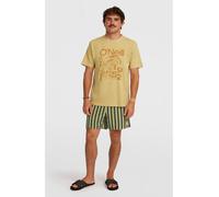 O'Neill O'riginals Stripe 15" Swimshorts yellow o'riginals stripe (32034) S