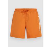 O´neill Cali 16´´ Badeshorts