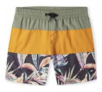O´neill Cali Block 13´´ Badeshorts 9-10 Jahre Nugget Colour Block