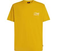 O'Neill O'riginals Cali T-shirt angel fern (12031) S