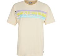 O'Neill Connective Graphic Long T-shirt bleached sand (17515) L