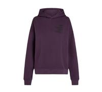O'Neill Future Surf Society Hoodie aubergine (14521) M