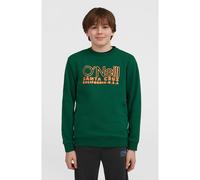 O´neill Essentials Sweatshirt 9-10 Jahre Emerald Envy