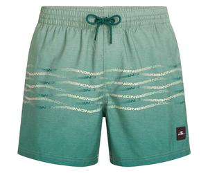 O'Neill - First 15'' Badeshorts Herren green heritage o'neill flip flop