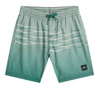 O'Neill - First Badeshorts Jungen boys green heritage flip flop