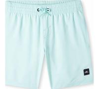 O'Neill Future Surf Society 14'' Swim Shorts beach glass (15043) 128