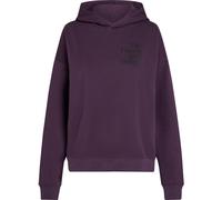 O'Neill Future Surf Society Hoodie aubergine (14521) S