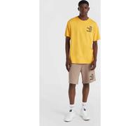 O'Neill Future Surf Society Shorts pumpkin smoke (17024) L