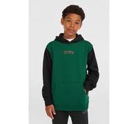 O'Neill Fwc'Play Kids Hoodie emerald envy colour block Jungen Gr. 140