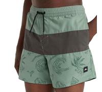 O'NEILL Herren-Badeanzug, grün/schwarz, Block, grün, XXL