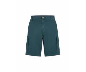 O'NEILL Herren Beachshort Essentials Cargo dunkelblau | 31