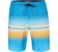O'NEILL Herren Heatstripe Line 19" Boardshorts Kurze Hosen, 15045 Prinzessin Blau, 36W