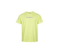 O'Neill Herren Paxton T-Shirt, 12014 Sunny Lime, L/XL