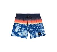 O'Neill Herren PM Cosmiq Badehose, Blau All Over Print, XS