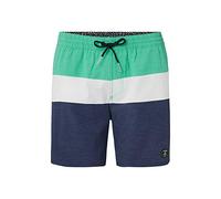 O'Neill Herren PM Sunset Boardshorts, Scale, XL