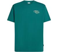 O'NEILL Herren Shirt BOX LOGO T-SHIRT (2850353) XL Botanical Heat