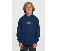 O'Neill O'neill Graphic Hoodie english evening (15093) 128