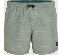 O'Neill Jack Cali First 15'' Boardshorts green first name stripe Herren Gr. XS