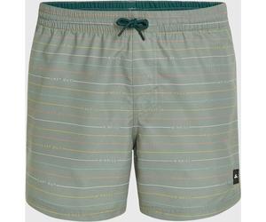 O'Neill Jack O'neill Cali First 15'' Swim Shorts green first name stripe (36062) XS