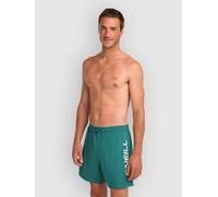 O´neill Logo 16´´ Badeshorts