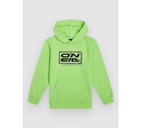 O'Neill Logo Kids Hoodie paradise valley Jungen Gr. 164