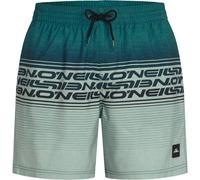 O'Neill LOGO STRIPE 16 INCH Badeshorts für Herren, dunkelgrün, größe XXL