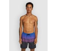 O'Neill O'neill Logo Stripe 16'' Swimshorts blue heritage o'neill stripe (25055) M