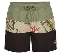 O'Neill Men's Frame Block Shorts Men Swim, Green Multi, L