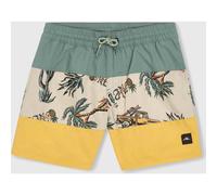 O'Neill MIX & Match Cali Block 13'' Swim Shorts beige venice beach (37530) 164
