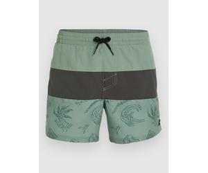 O'Neill Mix & Match Cali Block 15'' Boardshorts green vintage surfer Herren Gr. L
