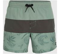 O'NEILL Badeshorts Mix & Match Innenhose,Kordelzug,Taschen Herren, grün, S green vintage surfer