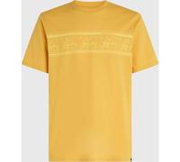 O'Neill MIX & Match Floral Graphic T-shirt golden haze (12022) S