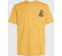 O'Neill O’neill Hybrid Logo T-shirt golden haze (12022) S