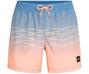 O'Neill O'neill First 15'' Swimshorts blue heritage o'neill flip flop (25056) M