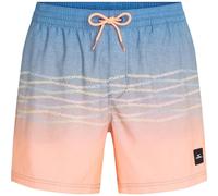 O'Neill O'neill First 15'' Swimshorts blue heritage o'neill flip flop (25056) XS