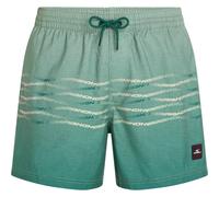 O'Neill O'neill First 15'' Swimshorts green heritage o'neill flip flop (26031) M