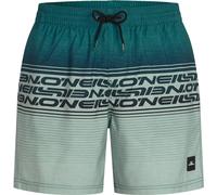 O'Neill O'neill Logo Stripe 16'' Swimshorts green heritage stripe (26034) XS