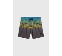 Blue Heritage O´neill Logo Stripe Swimming Shorts Grau 7-8 Years Junge
