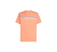 Funky Peach O´neill Logo Stripe Short Sleeve T-shirt Orange M Mann