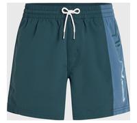 O'Neill O'neill Retro 14'' Swimshorts alma steel colour block (45060) XL