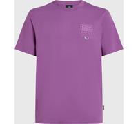 O'Neill O'neill Retro Graphic T-shirt sweet grape (14526) L