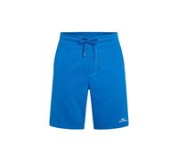 Mediterranean Blue O´neill Small Logo Sweat Shorts Blau 2XL Mann