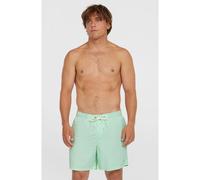 O´neill Vert 16´´ Badeshorts S Mildrew Mint