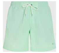 O'Neill Vert 16'' Boardshorts mildrew mint Herren Gr. XXL