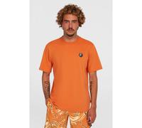 O´neill O´riginals Badge Kurzarm-t-shirt M Cinnamon Stick